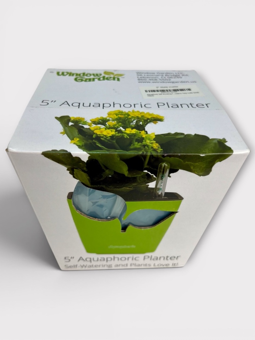 Self Watering Aquaphoric Planter 5" Pot by Window Garden Small Indoor Plant Blue